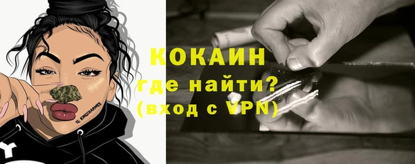 индика Балахна