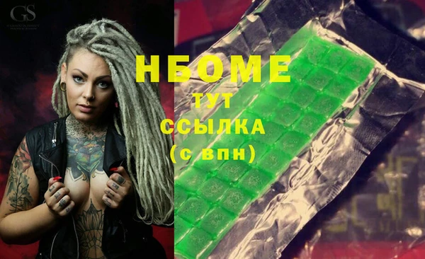 индика Балахна