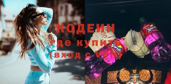 индика Балахна