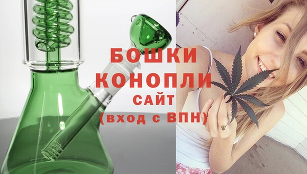 PSILOCYBIN Баксан