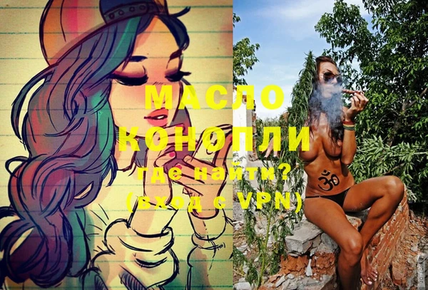 индика Балахна